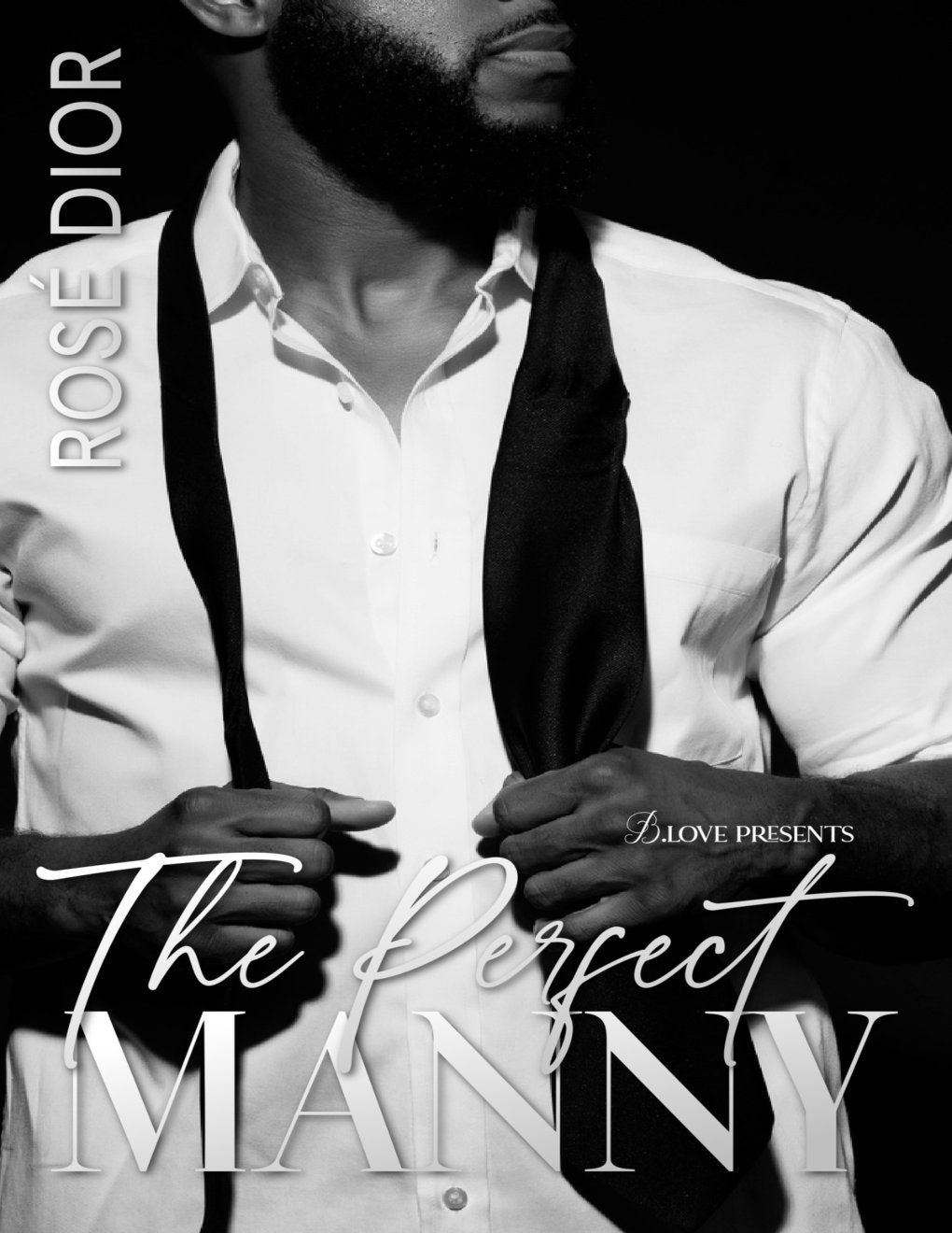 Cover of The Perfect Manny (2025)