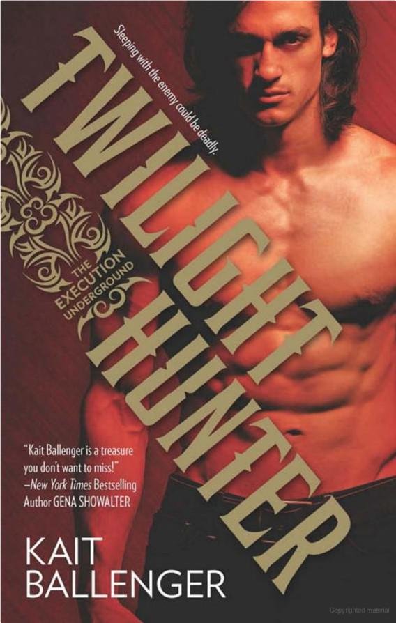 Cover of Twilight Hunter