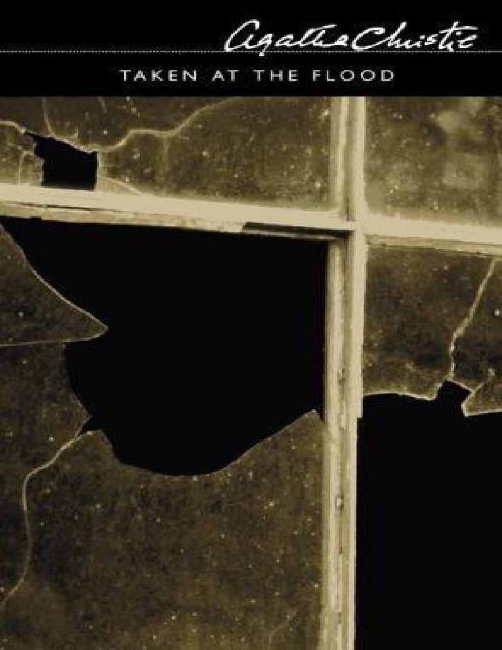 Cover of Taken at the Flood