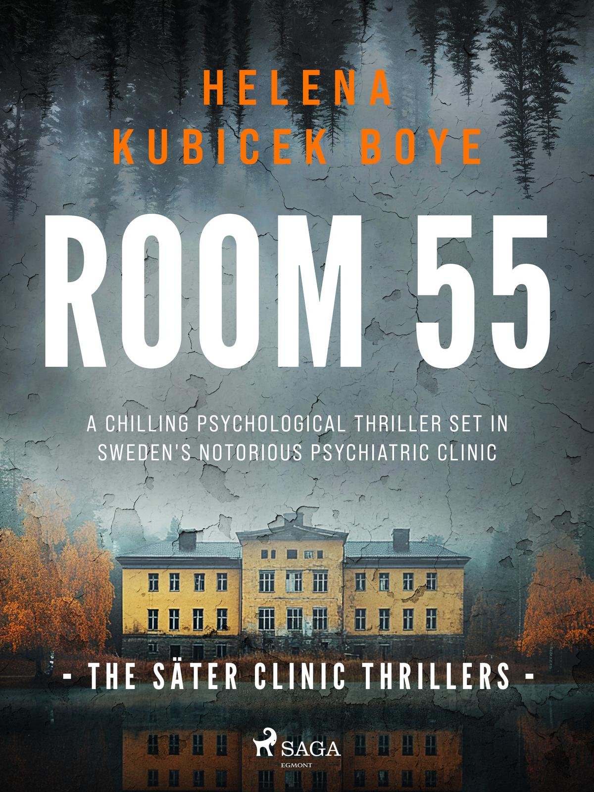 Cover of Room 55