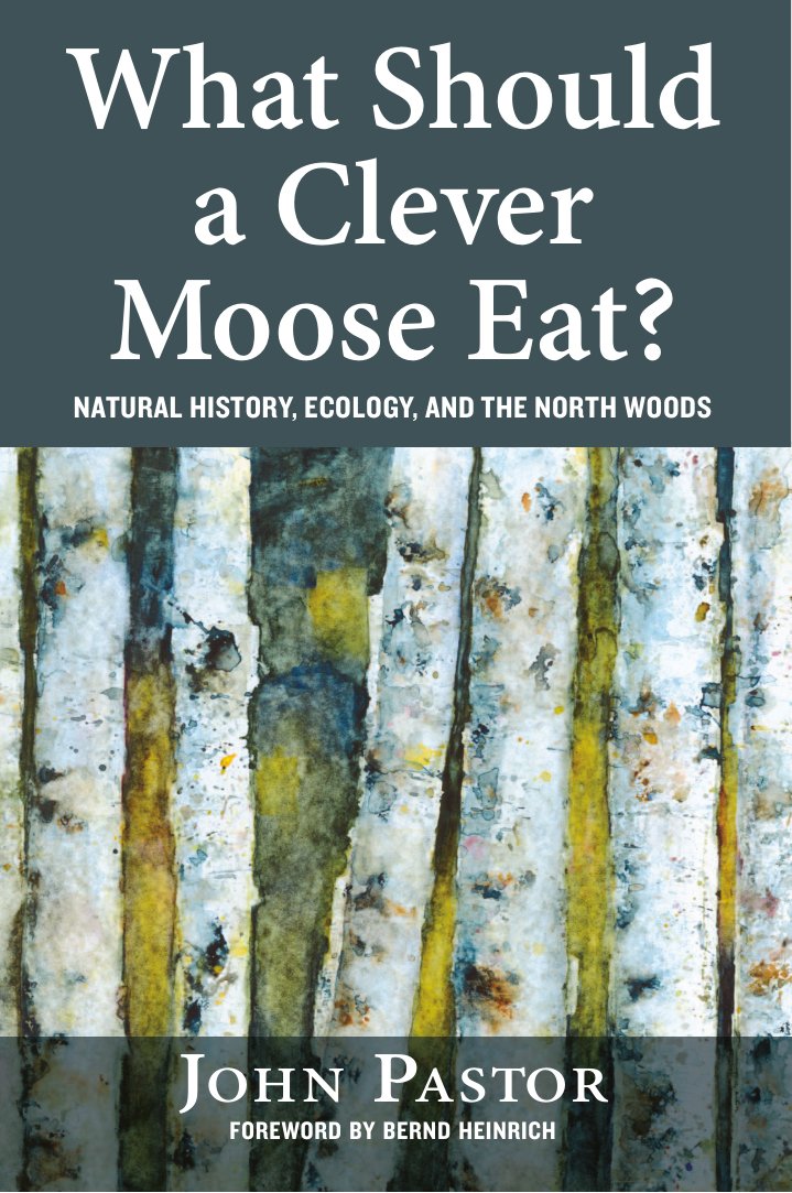 Cover of What Should