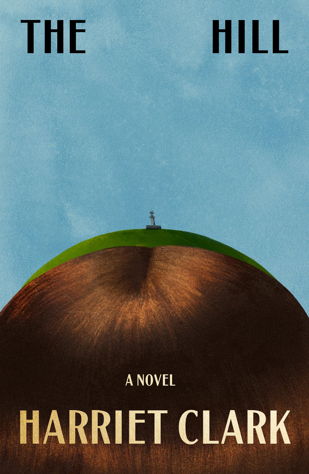 Cover of The Hill