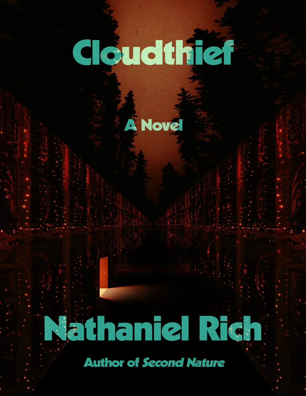 Cover of Cloudthief
