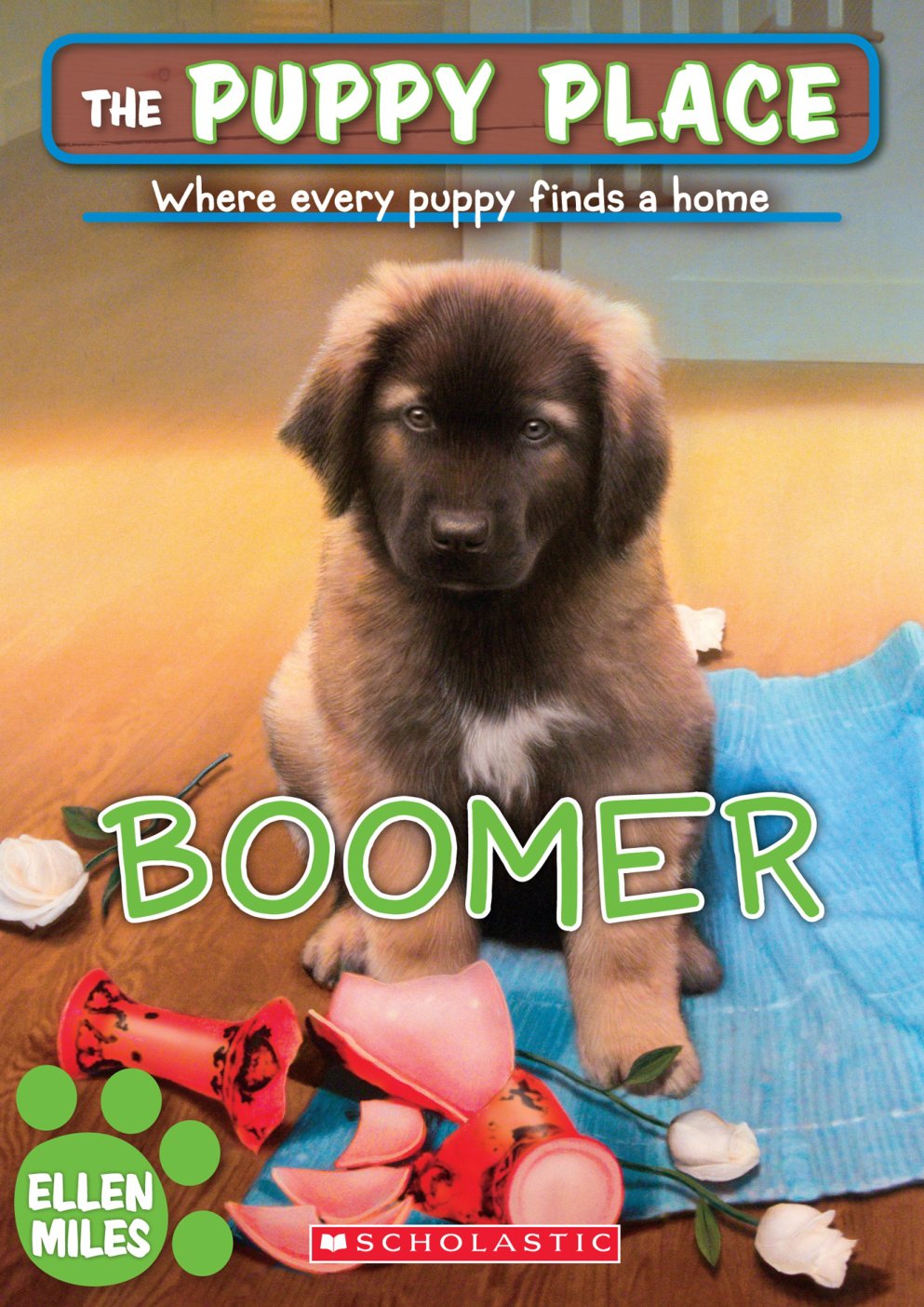 Cover of Boomer (2015)