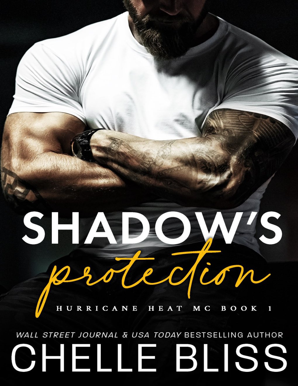 Cover of Shadow’s Protection