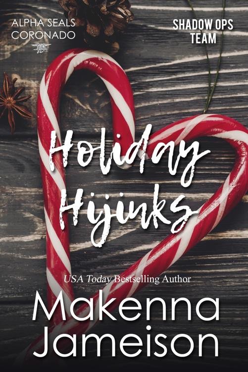 Cover of Holiday Hijinks