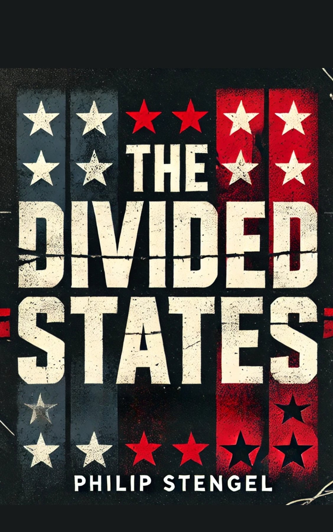 Cover of The Divided States