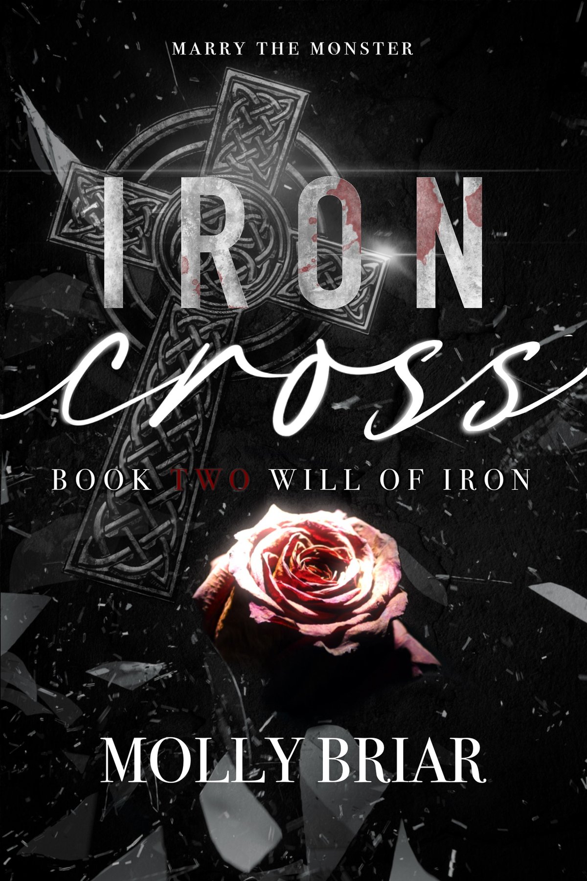 Cover of Iron Cross