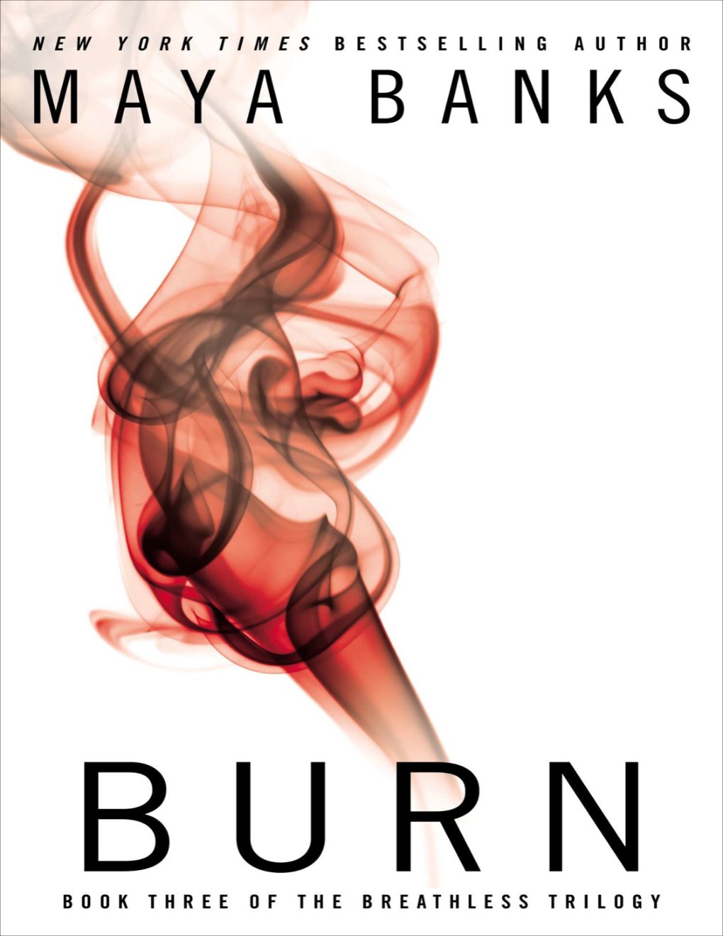 Cover of Burn