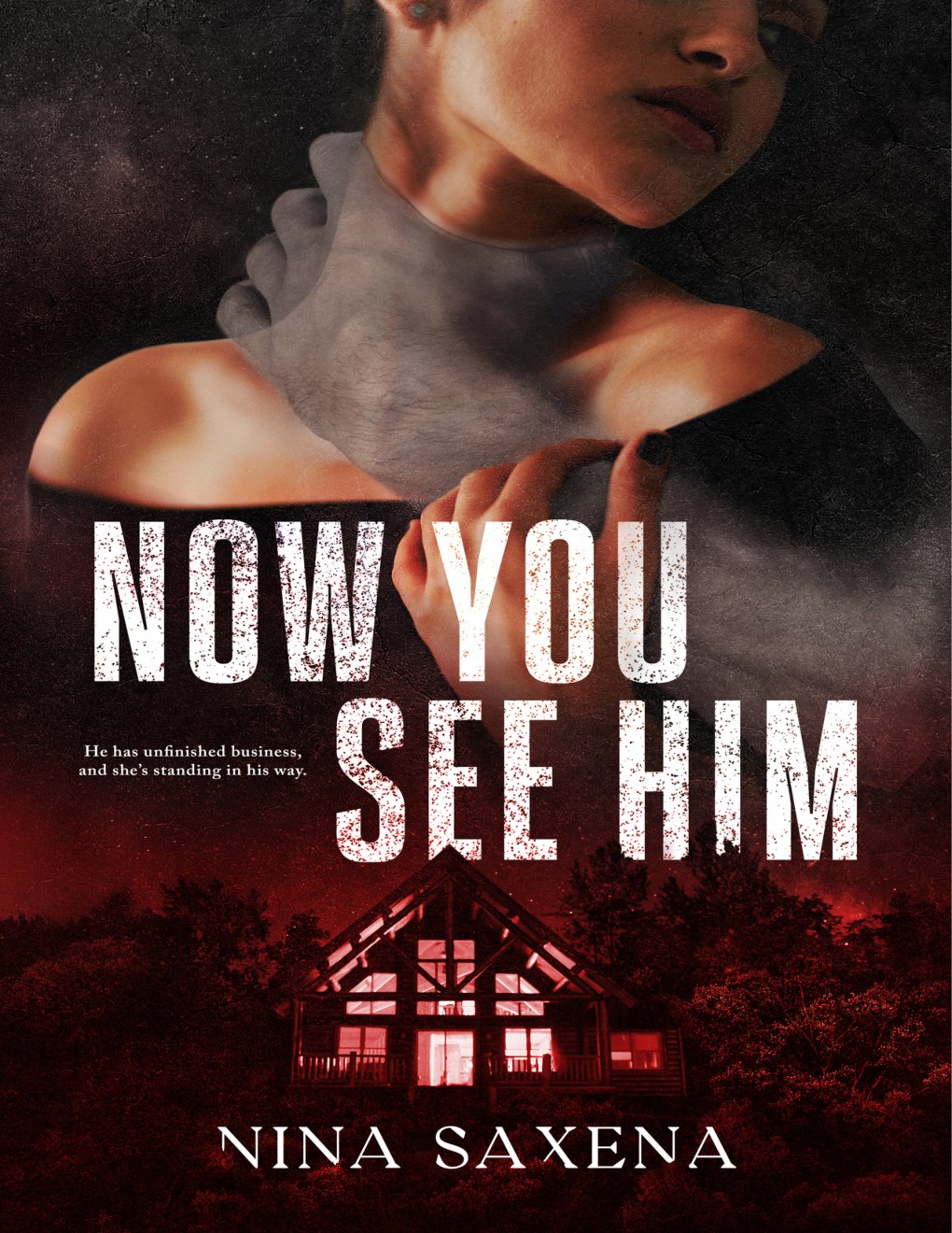 Cover of Now You See Him