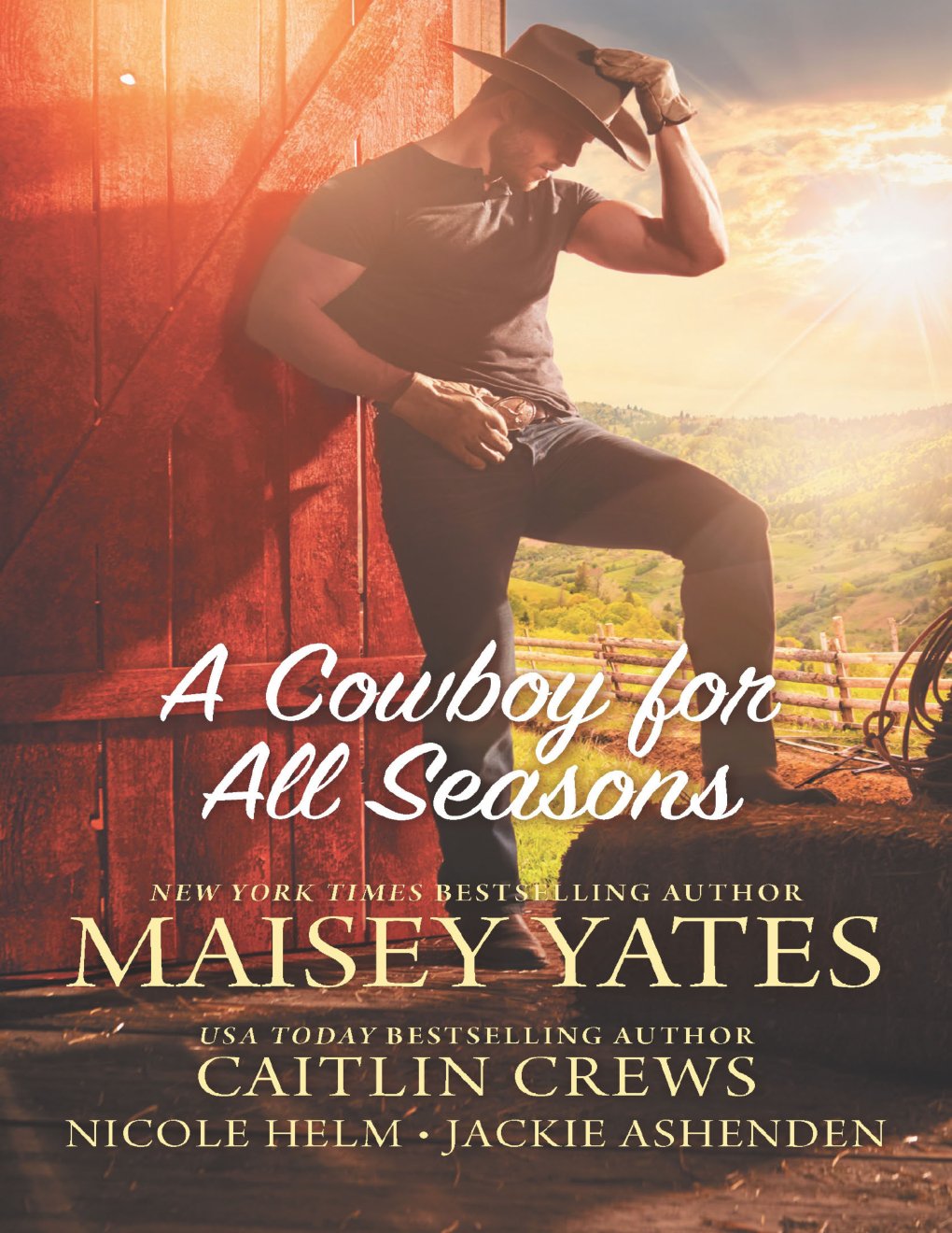Cover of A Cowboy for All Seasons (2020)