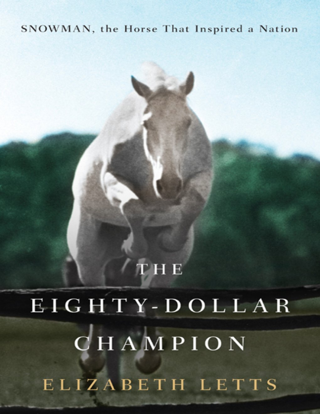 Cover of The Eighty-Dollar Champion