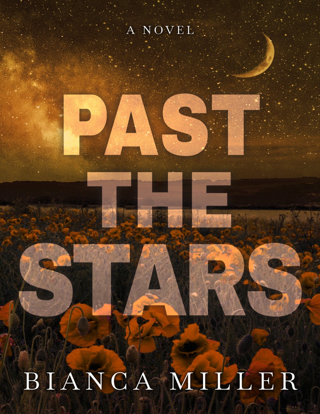 Cover of Past the Stars