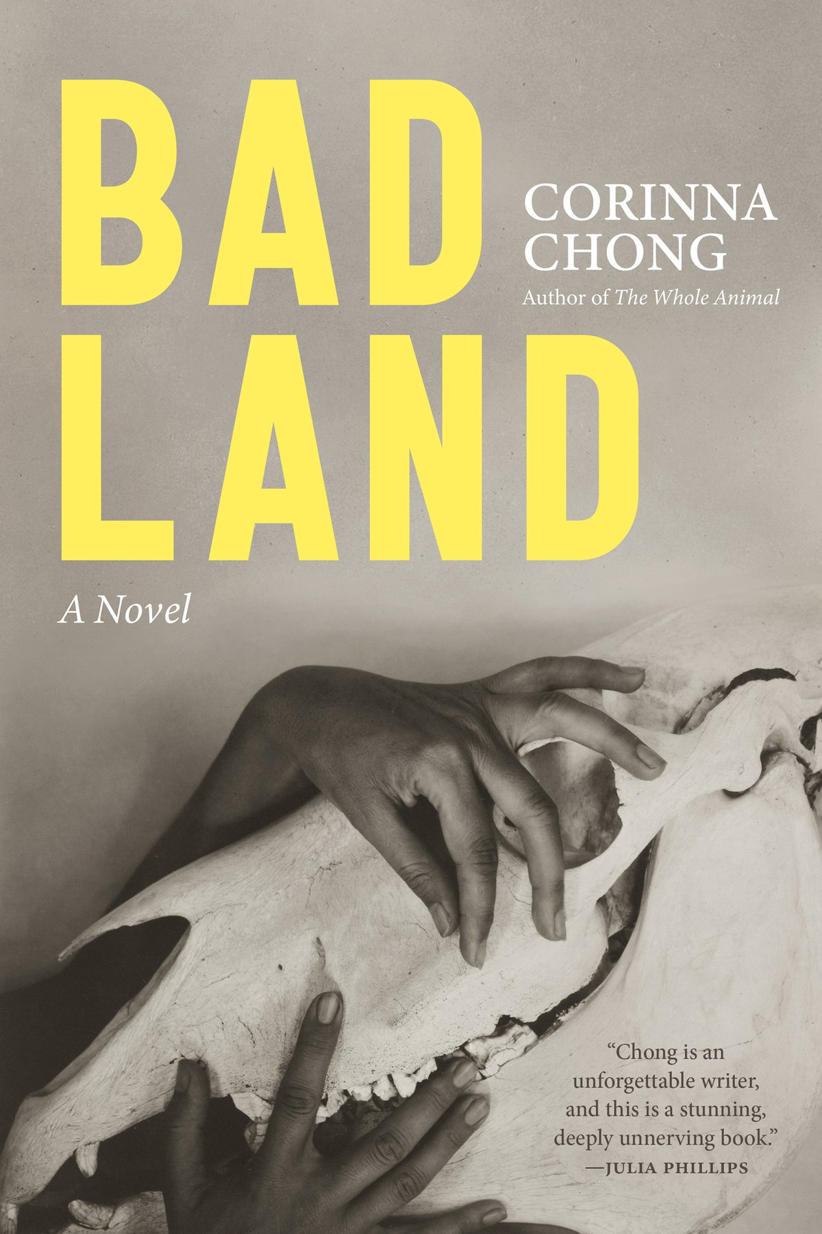 Cover of Bad Land