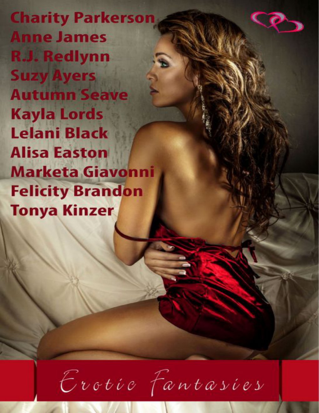 Cover of Erotic Fantasies Anthology