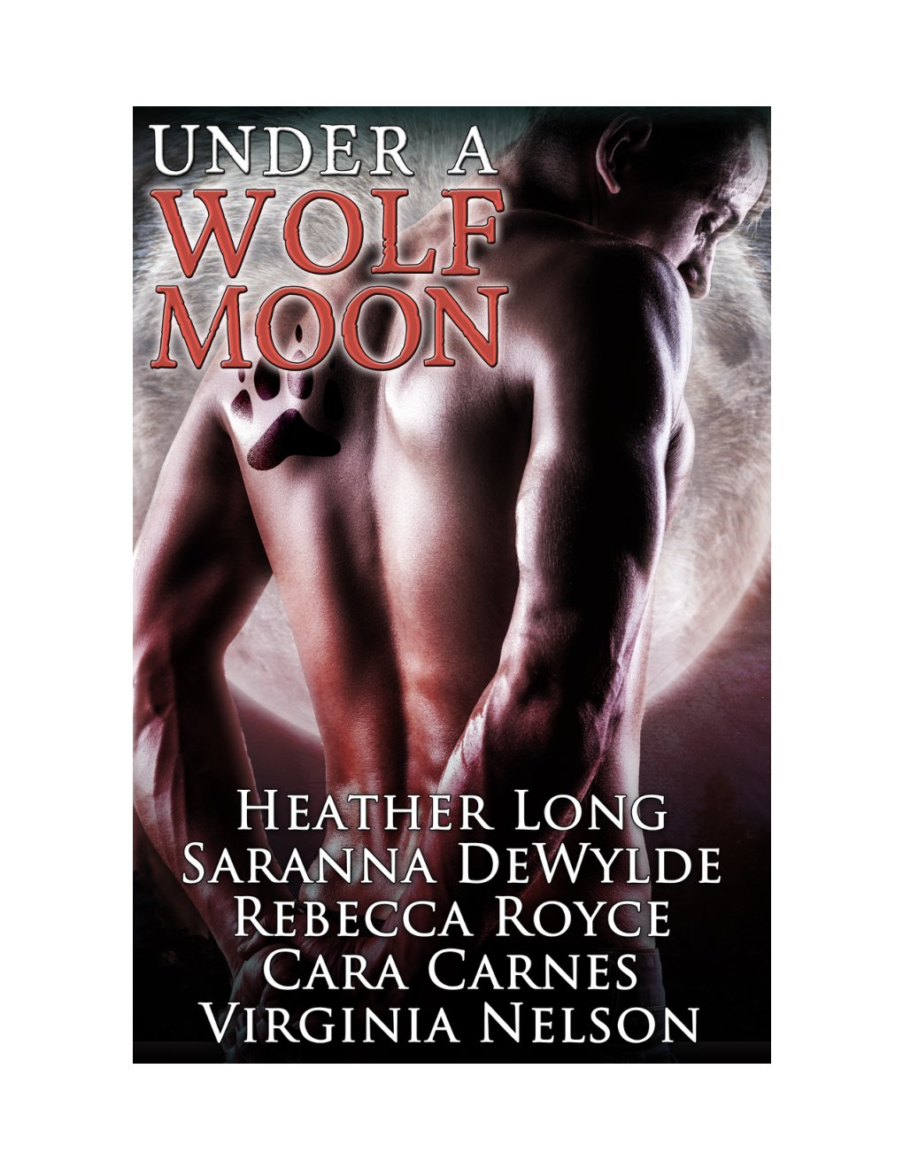 Cover of Under a Wolf Moon (2015)