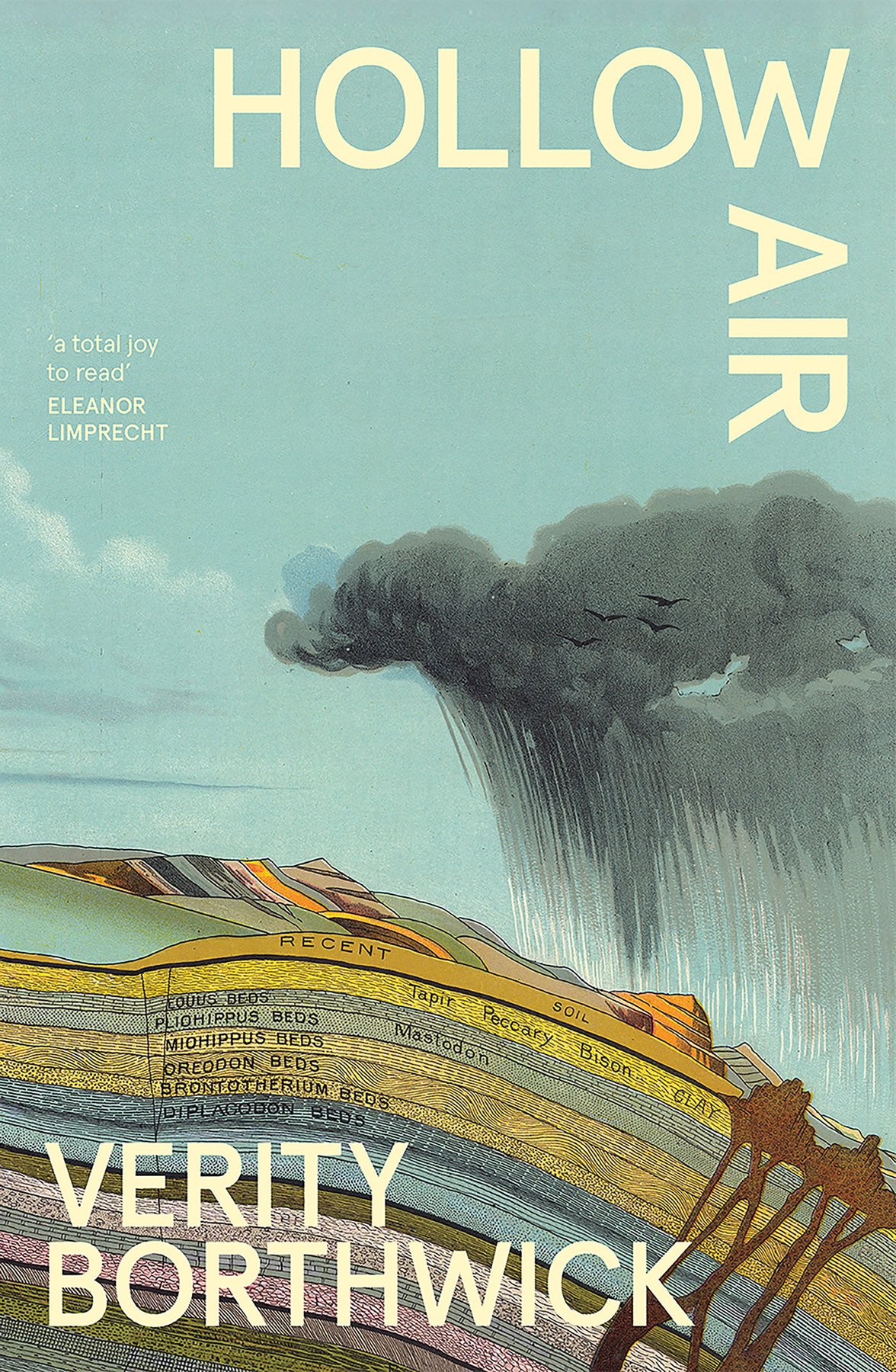 Cover of Hollow Air (1910)