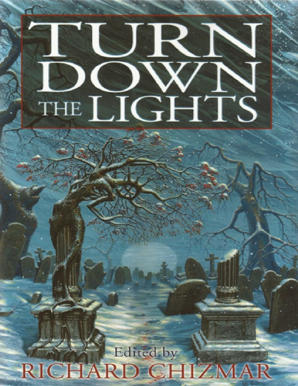 Cover of Turn Down the Lights