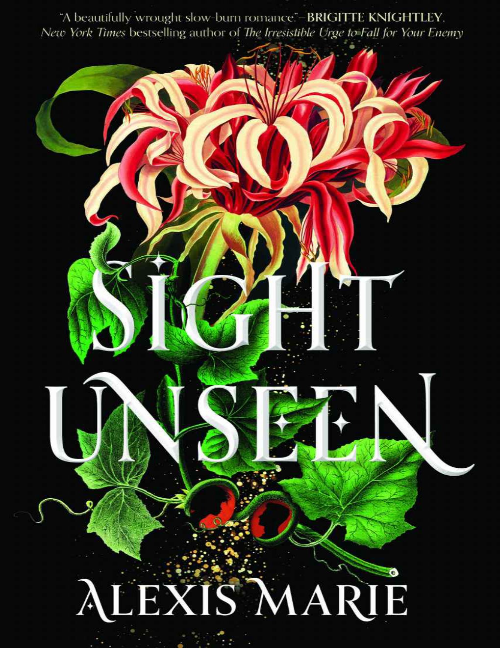 Cover of Sight Unseen