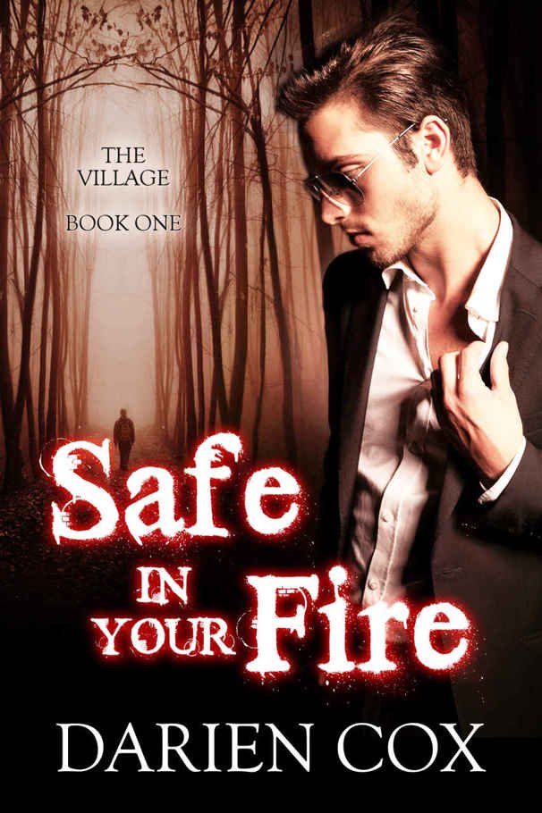 Cover of Safe in Your Fire (2016)