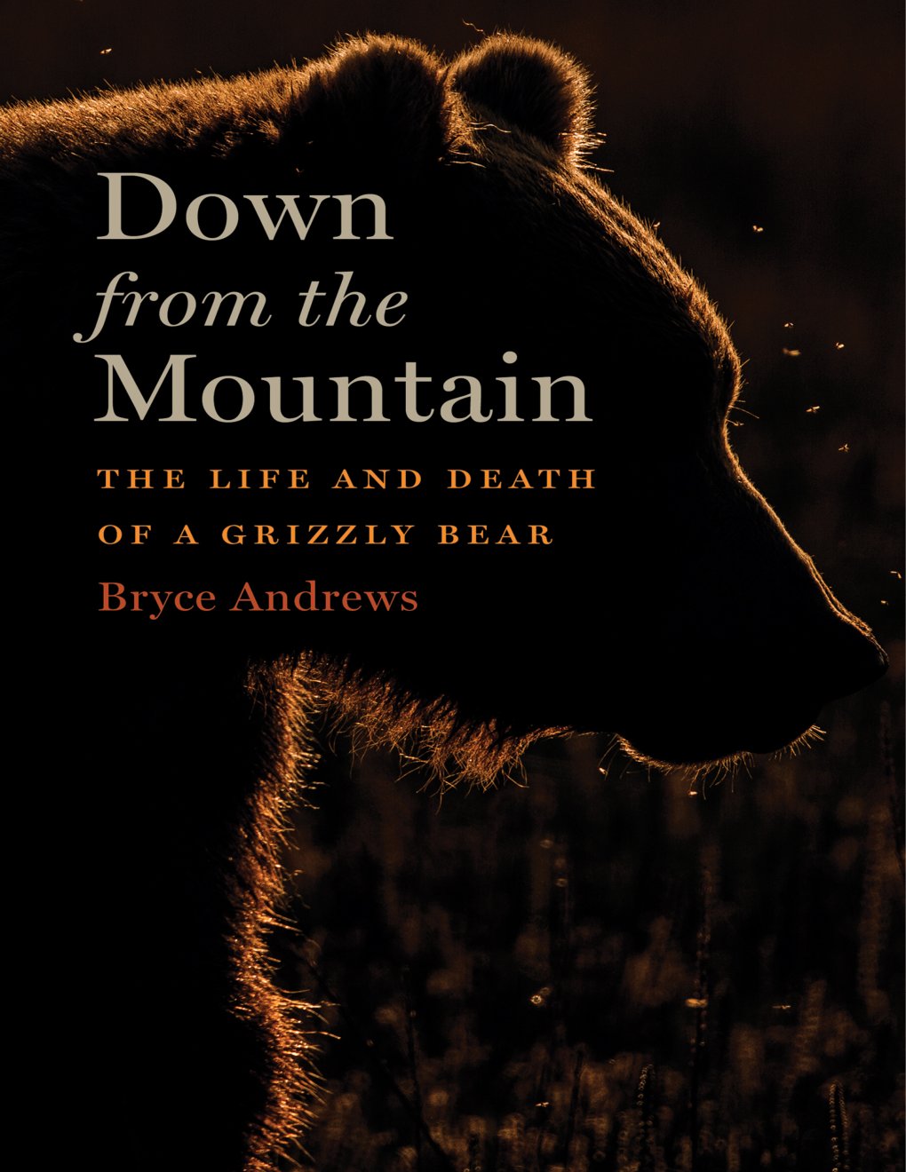 Cover of Down from the Mountain