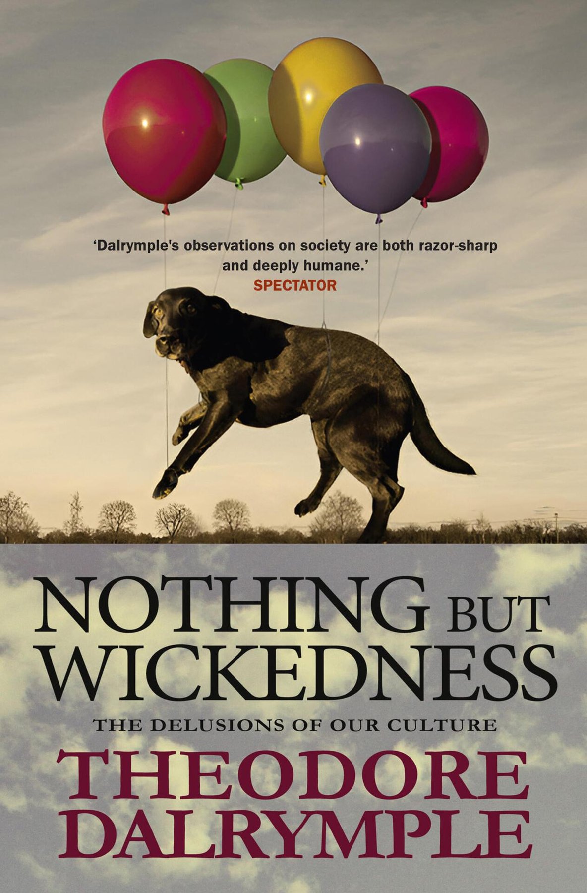 Cover of Nothing but Wickedness
