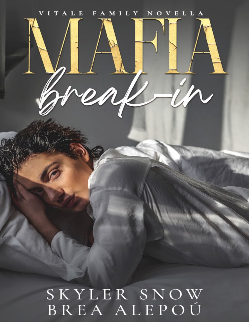 Cover of Mafia Break-In
