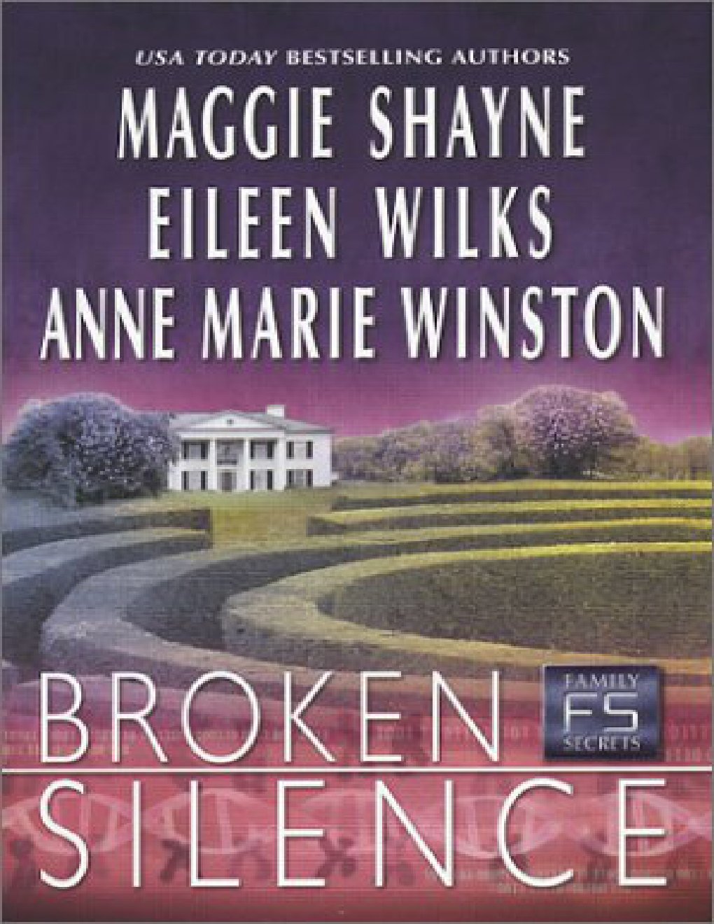 Cover of Broken Silence