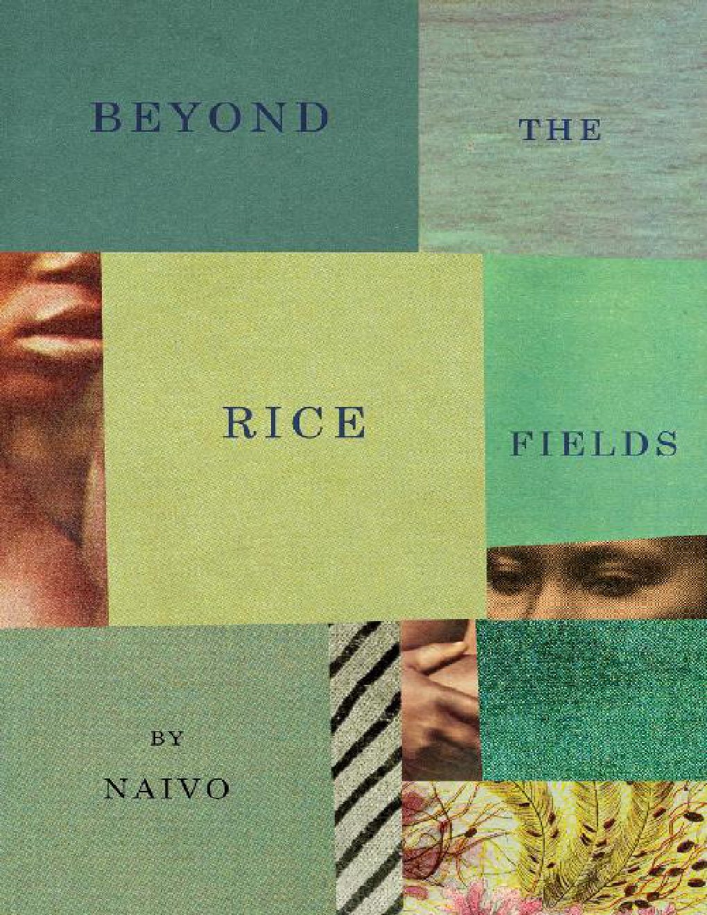 Cover of Beyond the Rice Fields