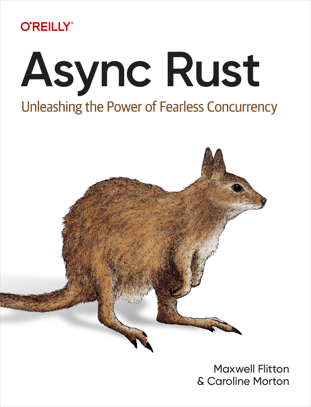 Cover of Async Rust (2010)