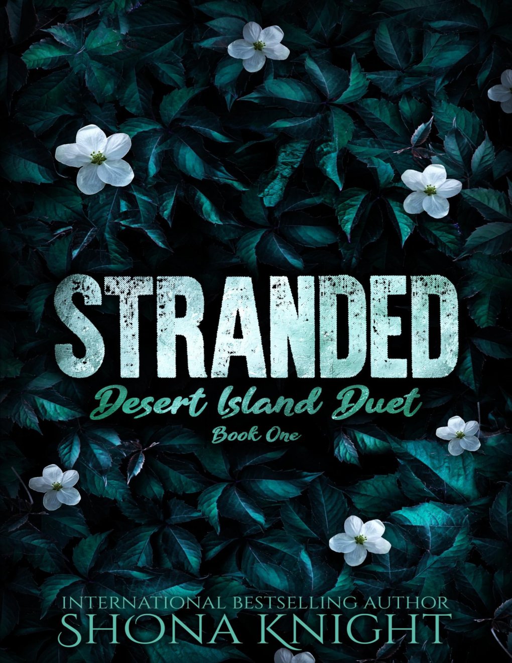 Cover of Stranded (Desert Island Duet Book 1)