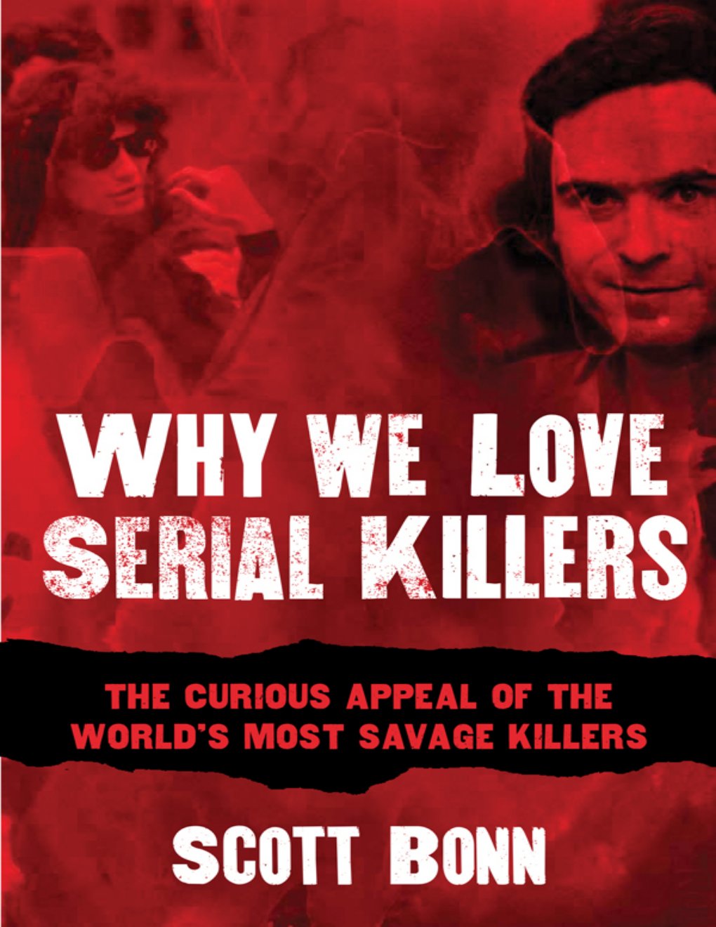 Cover of Why We Love Serial Killers (1963)
