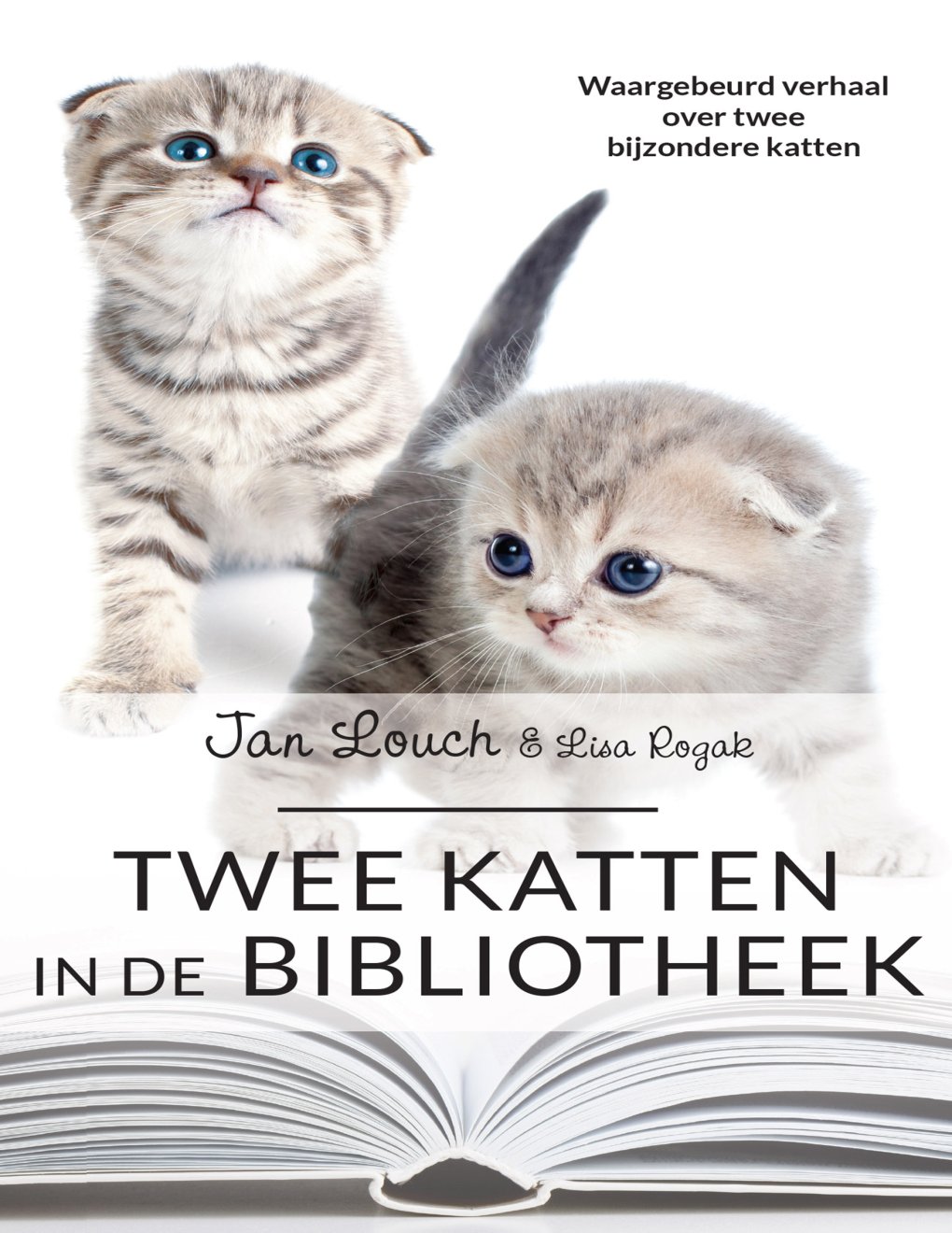 Cover of Twee katten in de bibliotheek (1929)