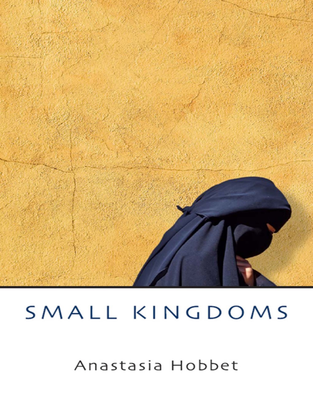 Cover of Small Kingdoms (1991)