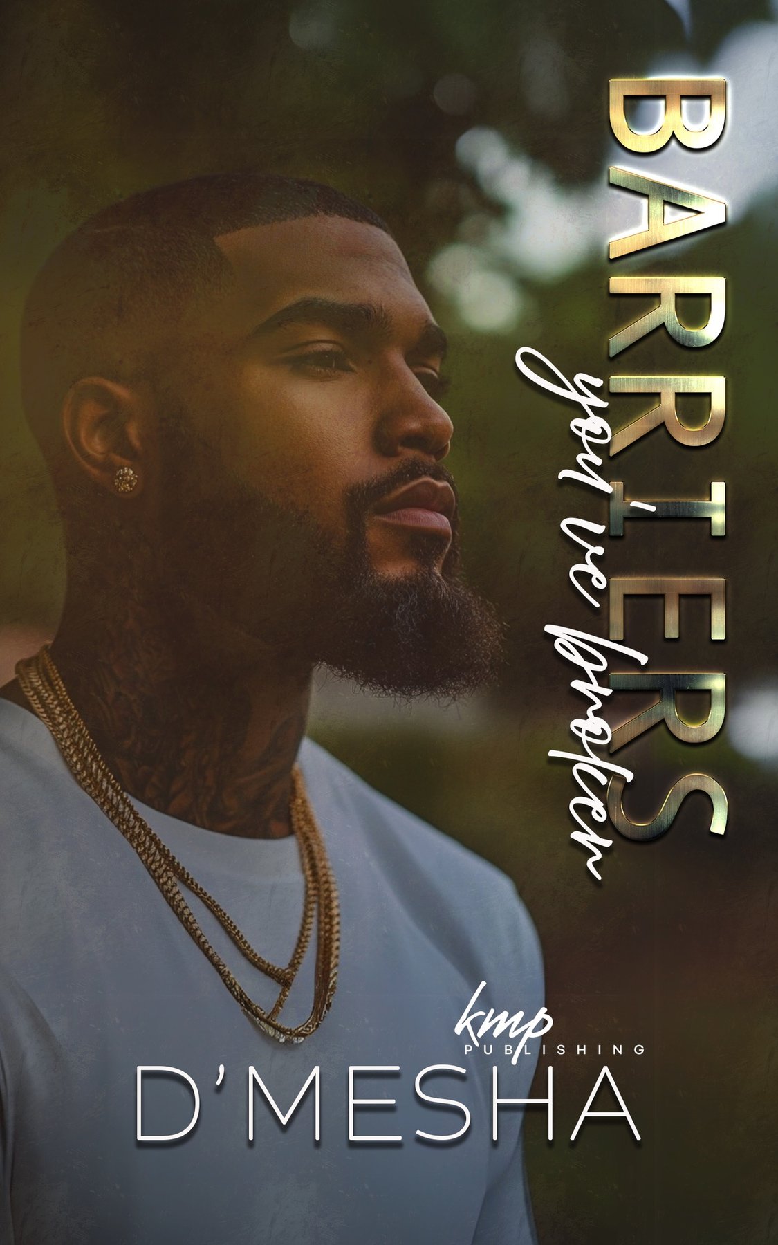 Cover of Barriers You've Broken (Montgomery Inc Book 3)