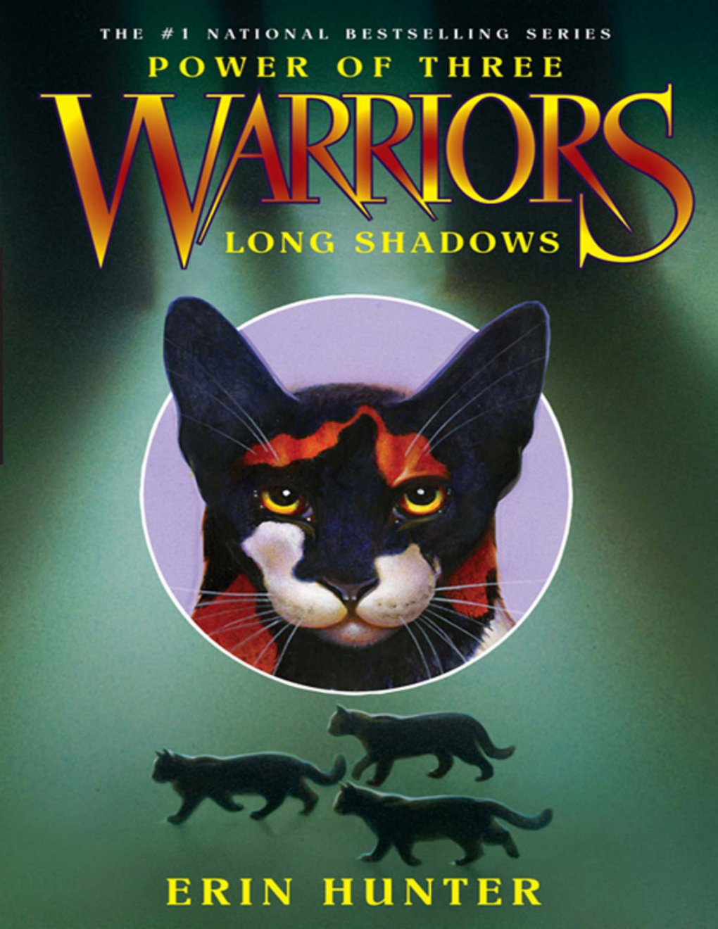 Cover of Long Shadows