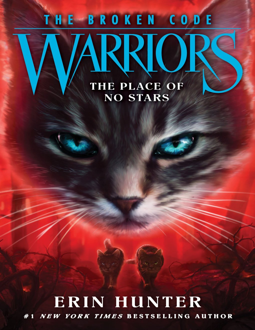 Cover of The Place of No Stars