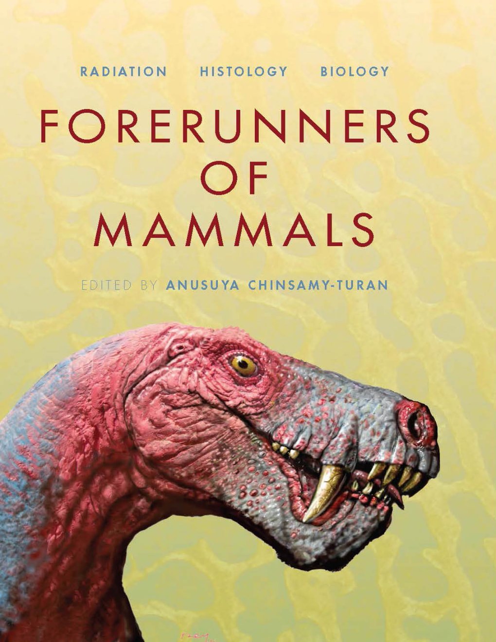 Cover of Forerunners of Mammals
