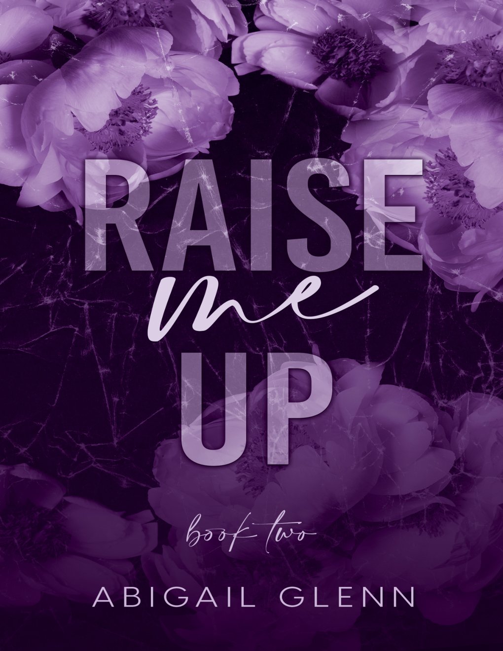 Cover of Raise Me Up (Atonement Book 2)