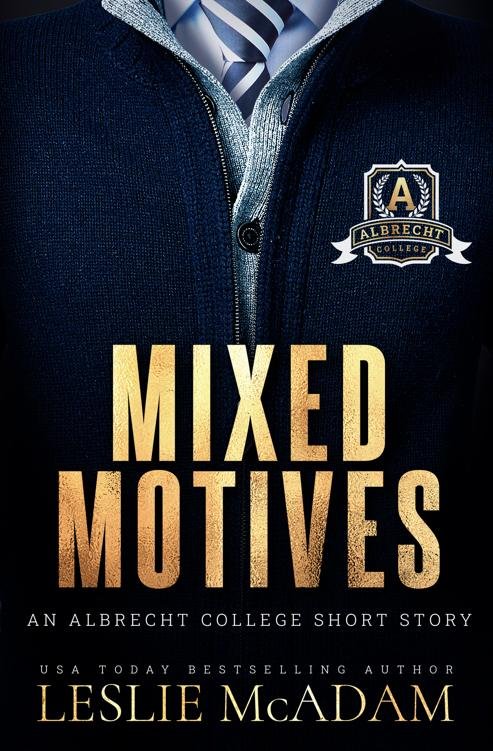 Cover of Mixed Motives- MM Age Gap Romance (2015)
