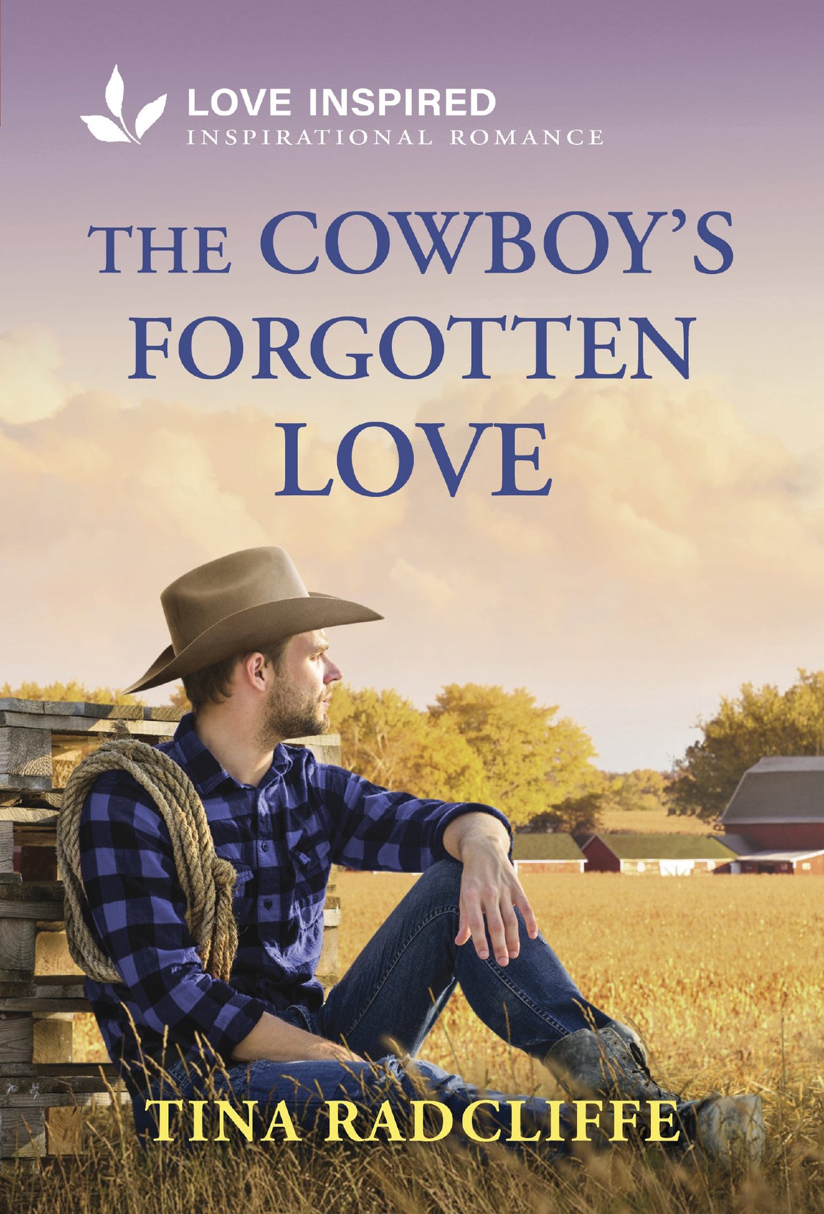 Cover of The Cowboy's Forgotten Love