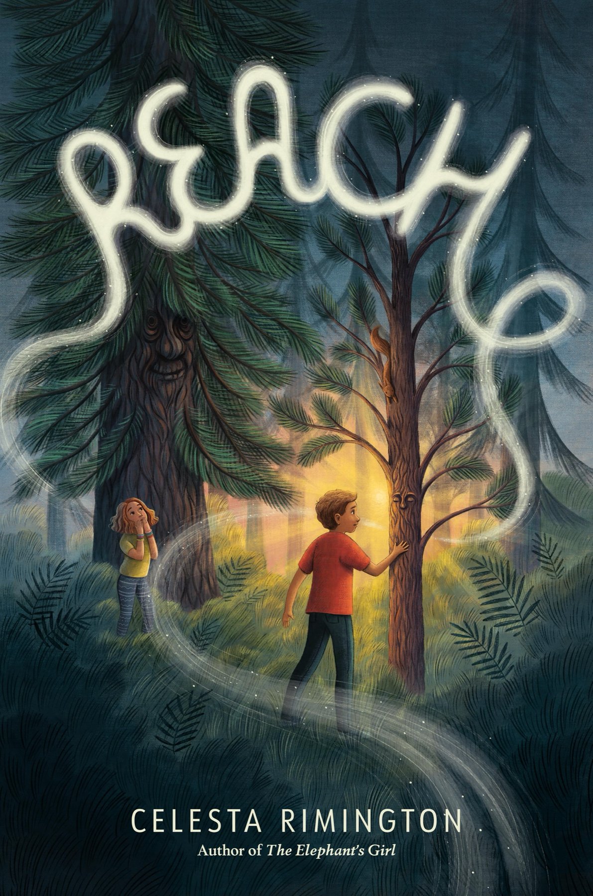 Cover of Reach