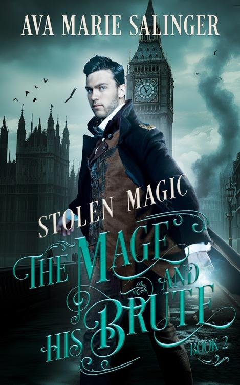 Cover of Stolen Magic (1988)