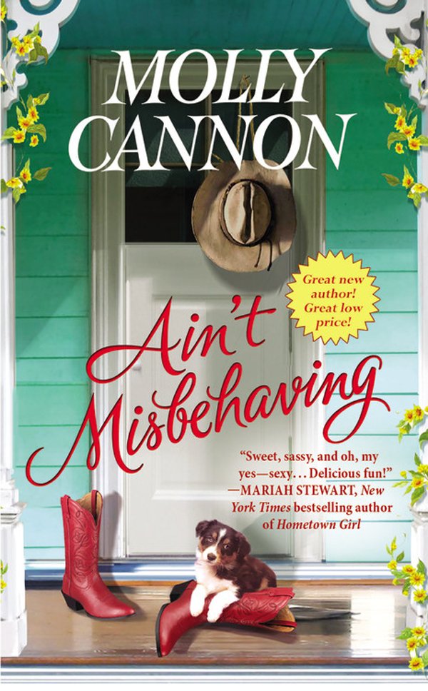 Cover of Ain't Misbehaving (9781455523801)