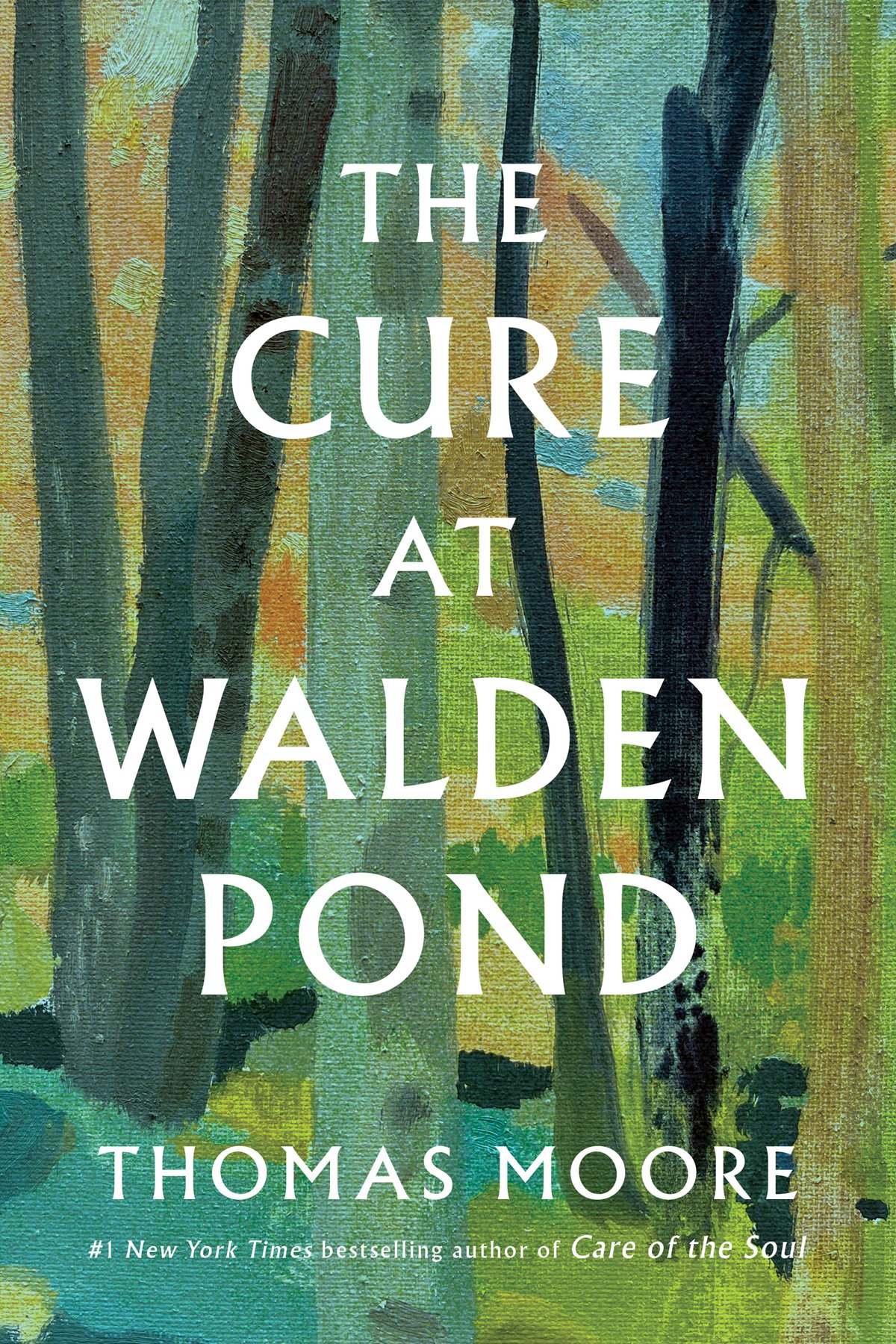 Cover of The Cure at Walden Pond; Recovering Our Humanity (1845)