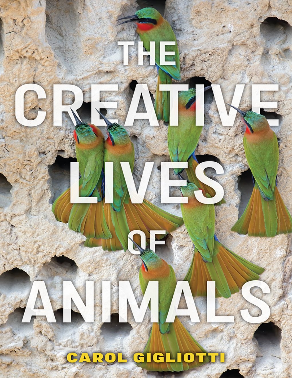 Cover of The Creative Lives of Animals