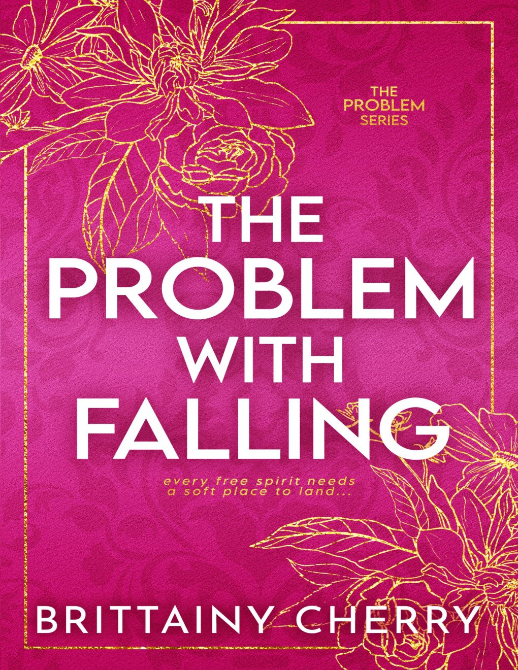 Cover of The Problem with Falling