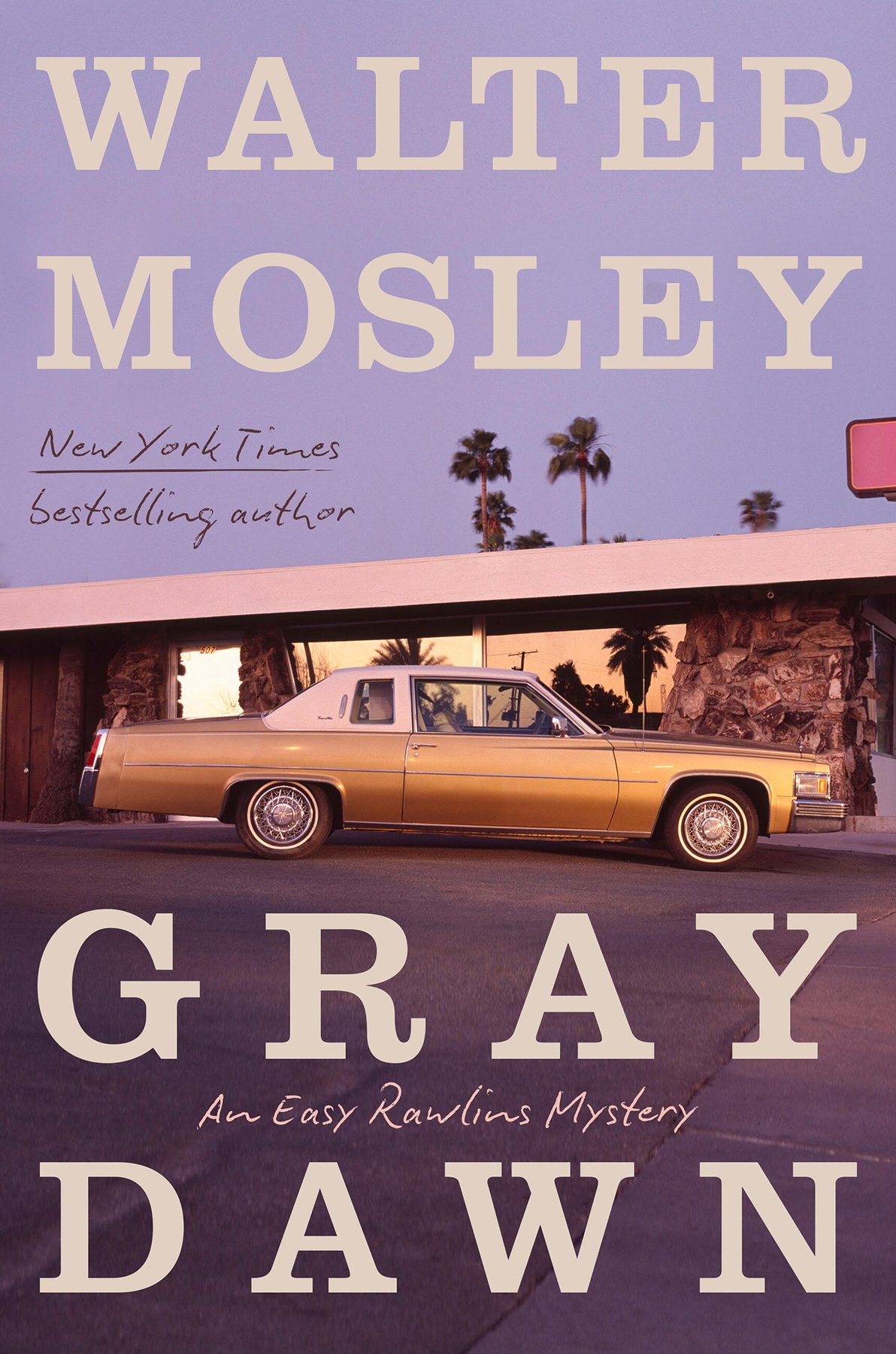 Cover of Gray Dawn