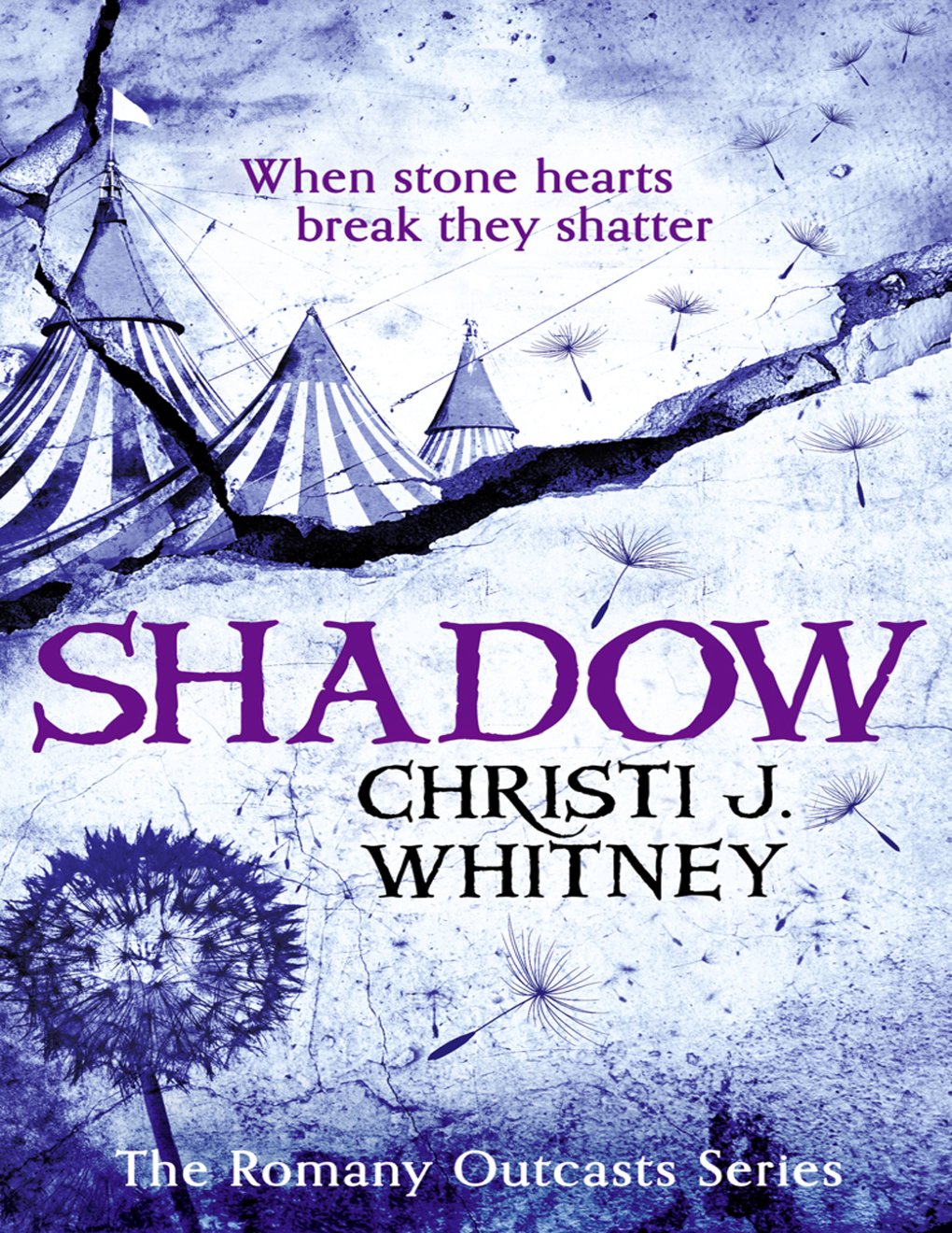Cover of Shadow