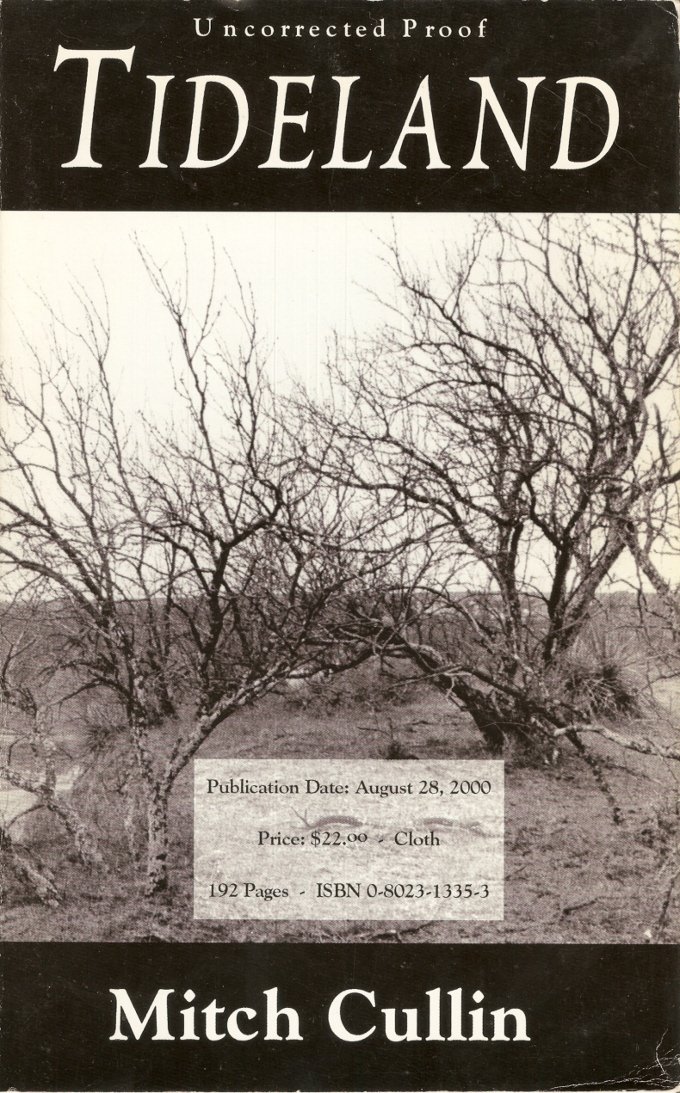 Cover of Tideland